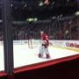 Joe Louis Arena view