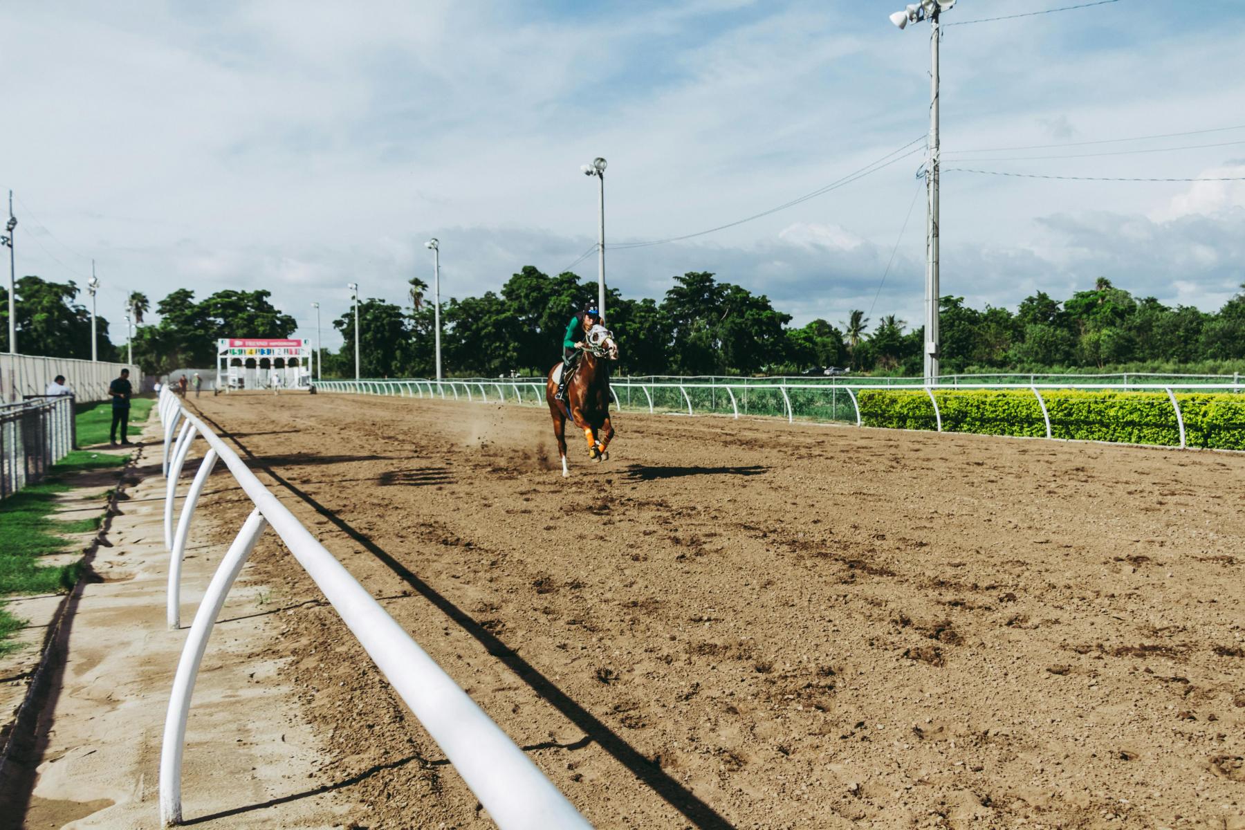 Kentucky Derby and Oaks Combo