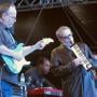 Photo of Steely Dan