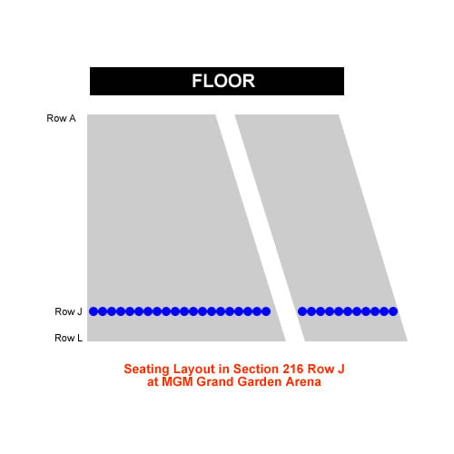Mgm Grand Garden Arena Concert Seating Chart Interactive Map