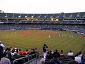 thumbnail of Section 135