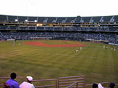 thumbnail of Section 138