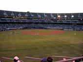 thumbnail of Section 146