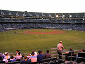 thumbnail of Section 147