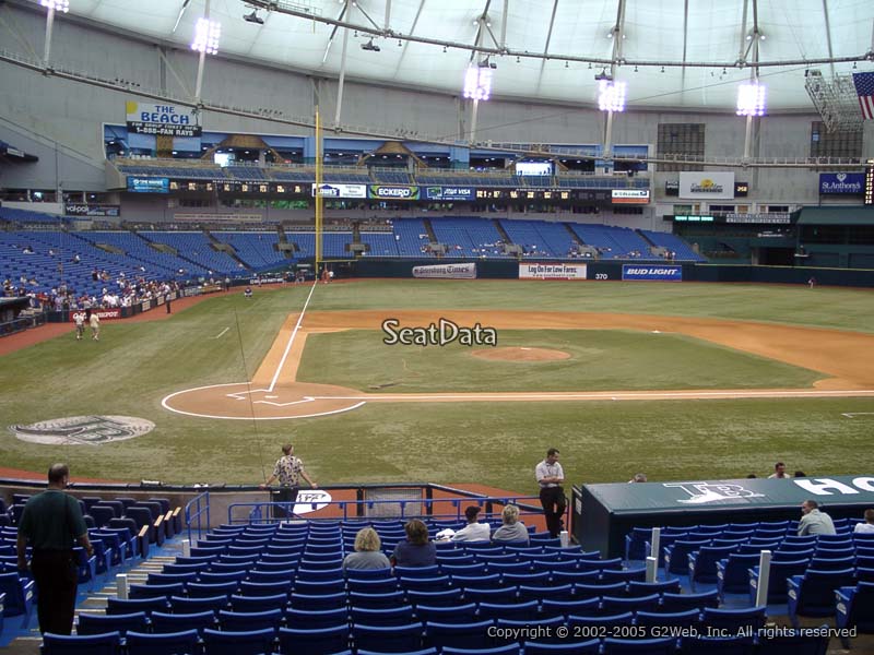 110 TAMPA BAY RAYS ideas  tampa bay rays, tampa bay, rays baseball