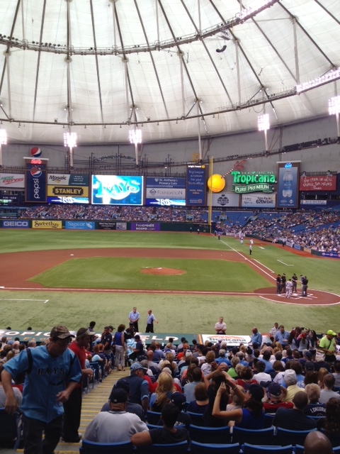 View at Tropicana Field