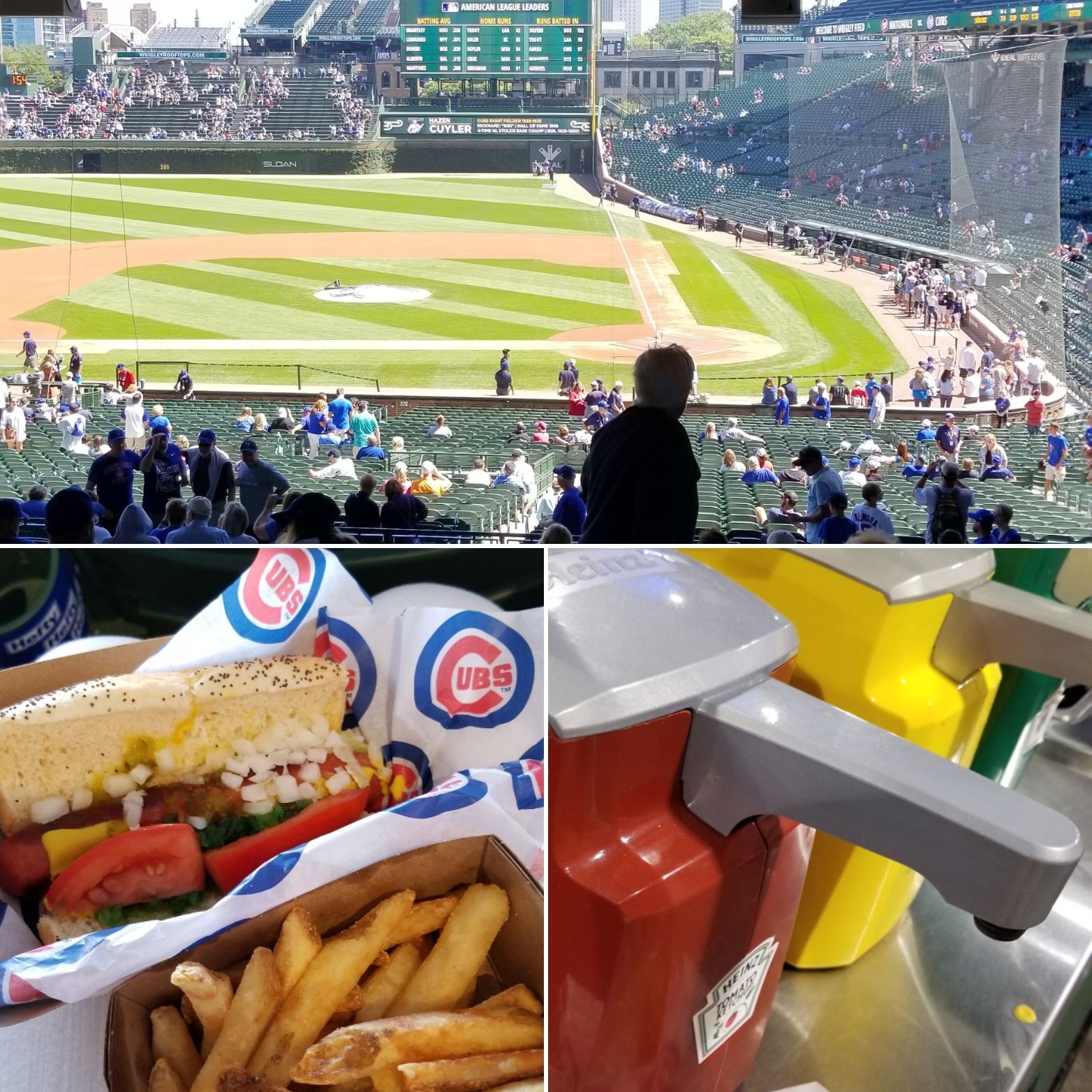 Section 213 at Wrigley Field Chicago Cubs