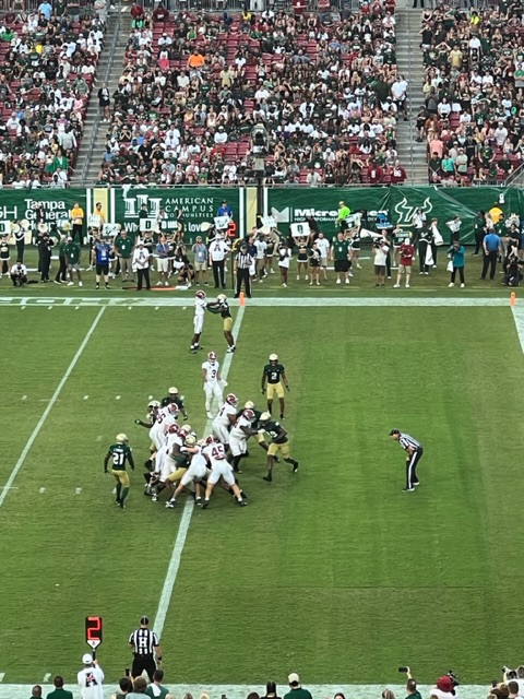 Section 239 at Raymond James Stadium 