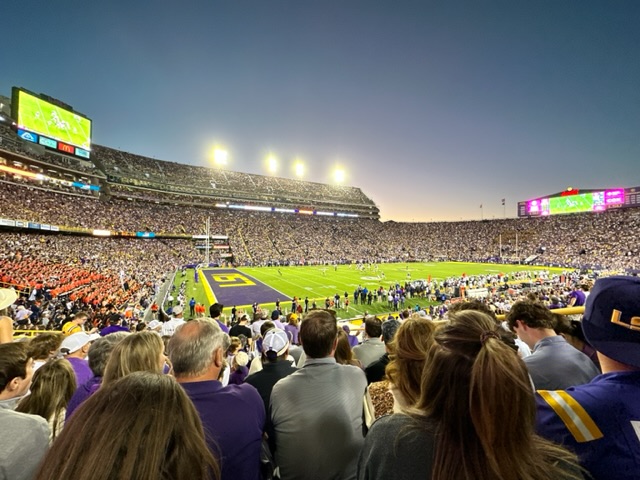 section 408, row 25 seat view  - tiger stadium