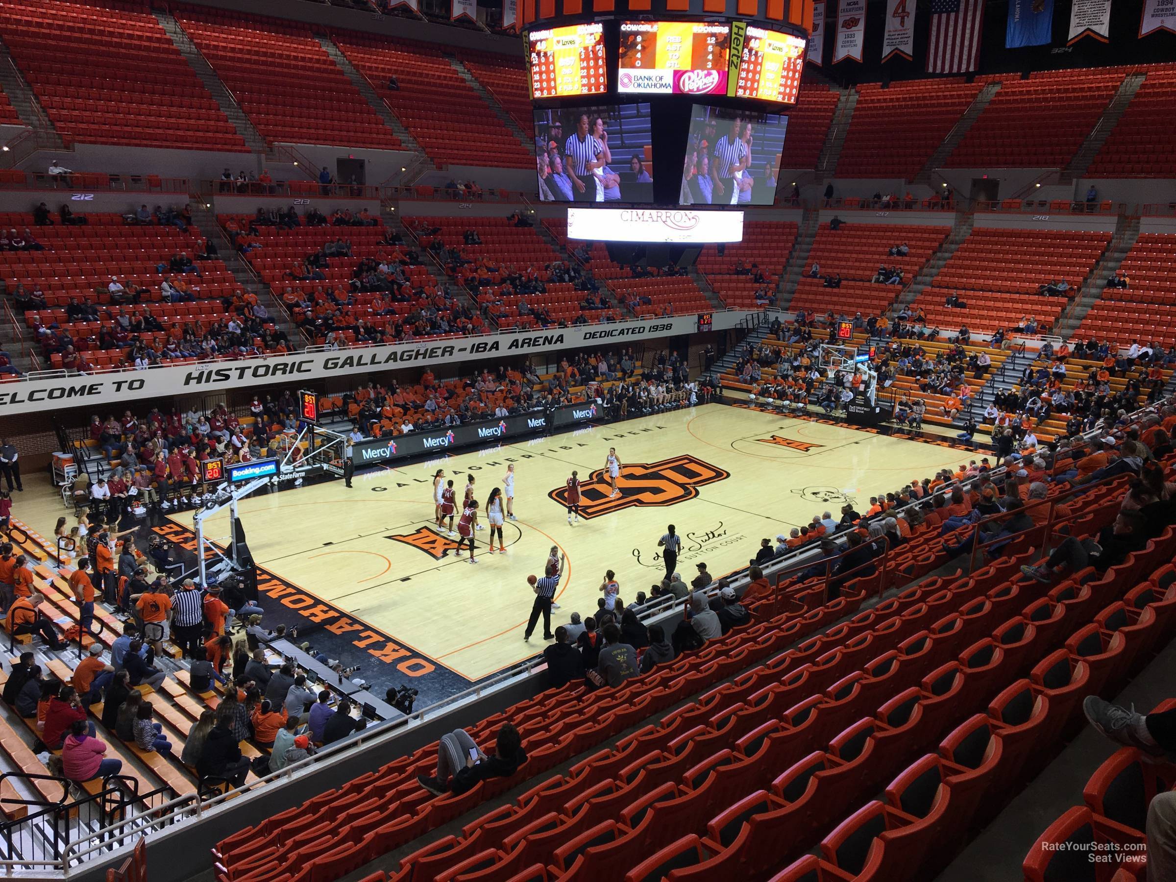 section 205, row 13 seat view  - gallagher-iba arena