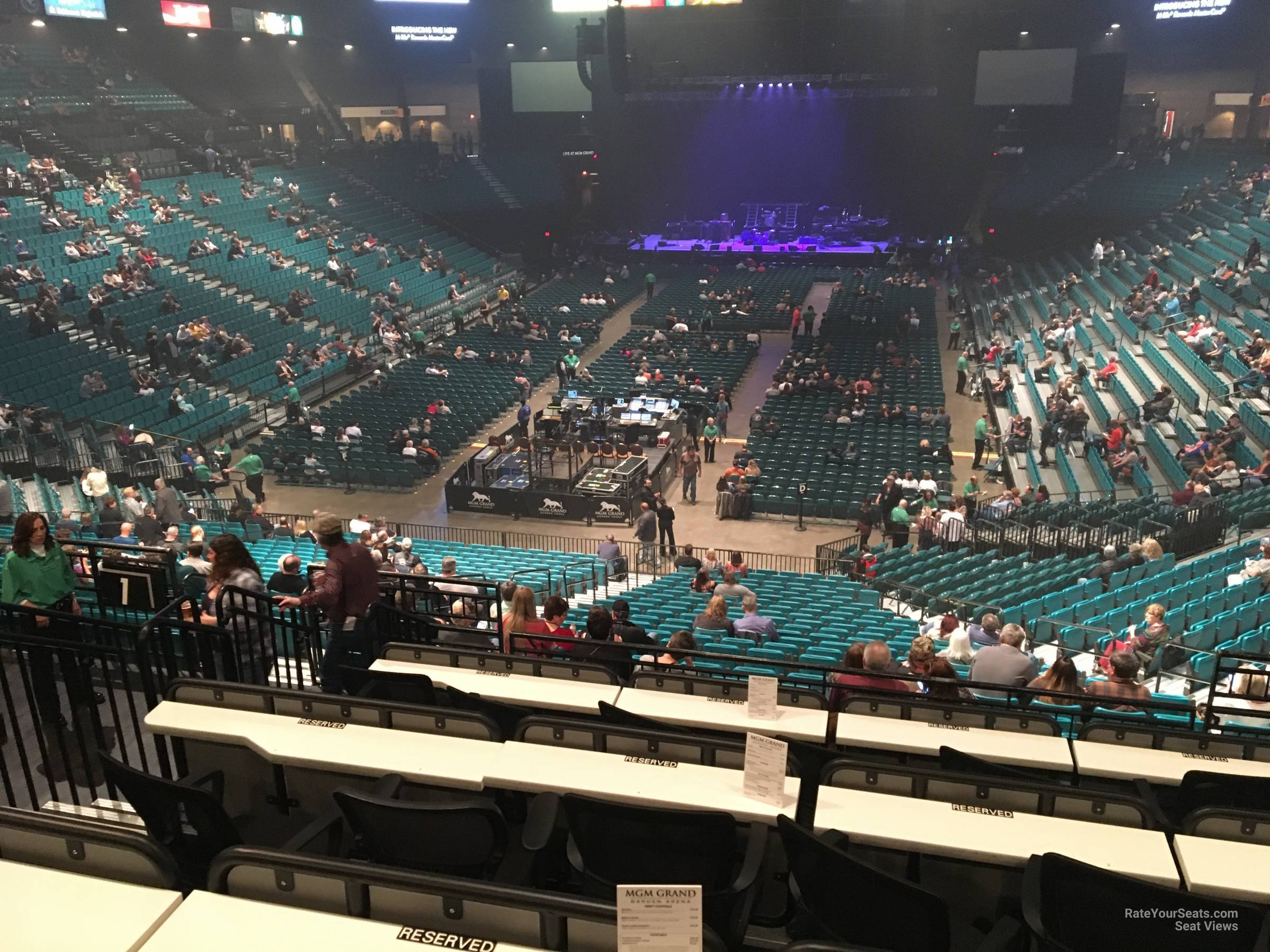 Mgm Grand Garden Arena Section 102 Rateyourseats Com