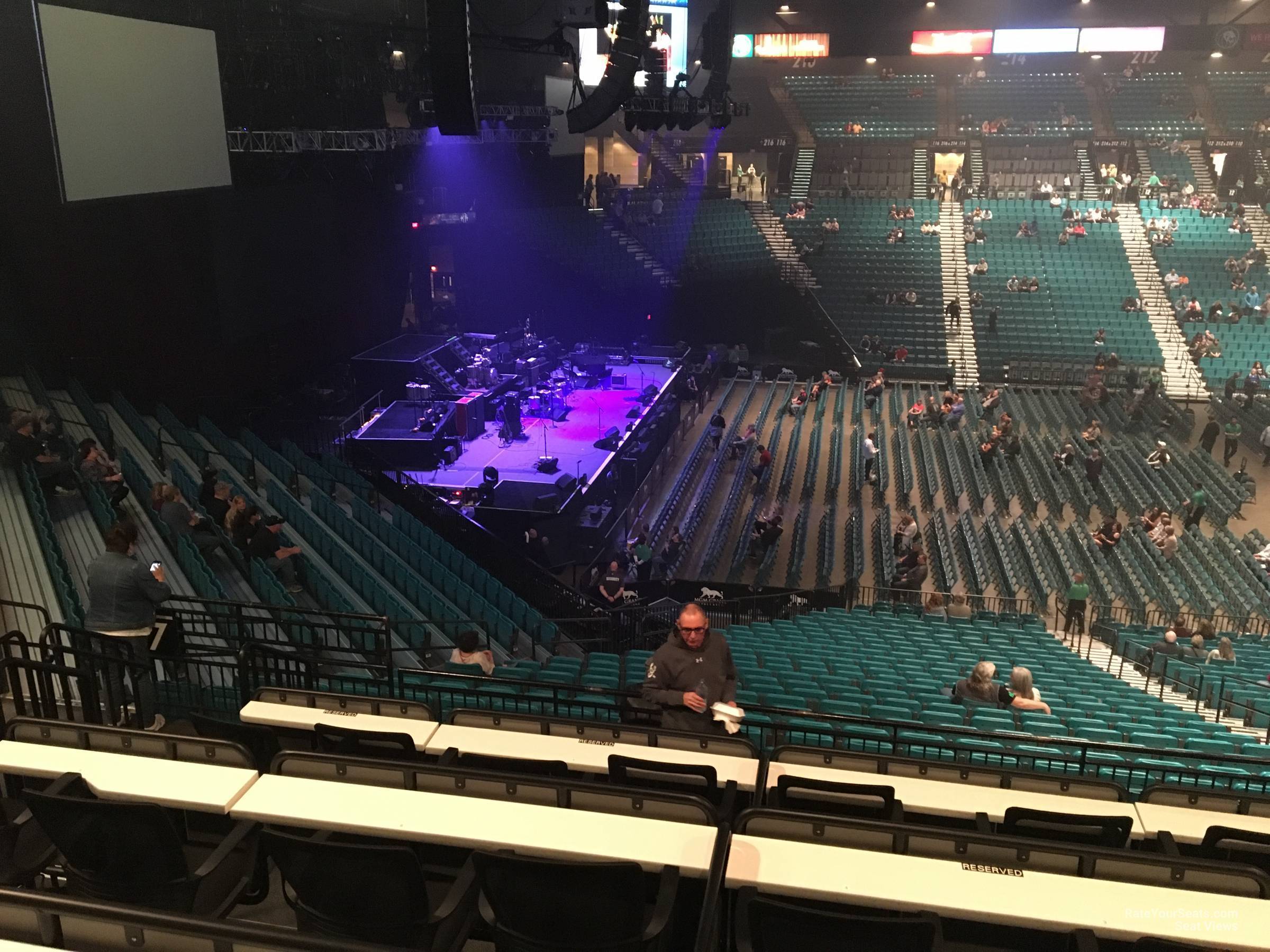 section 117, row ee seat view  - mgm grand garden arena