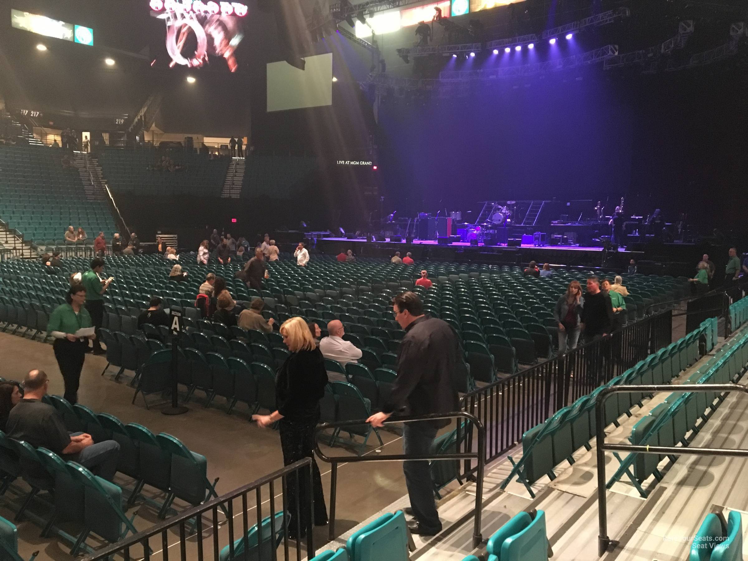 section 12, row c seat view  - mgm grand garden arena