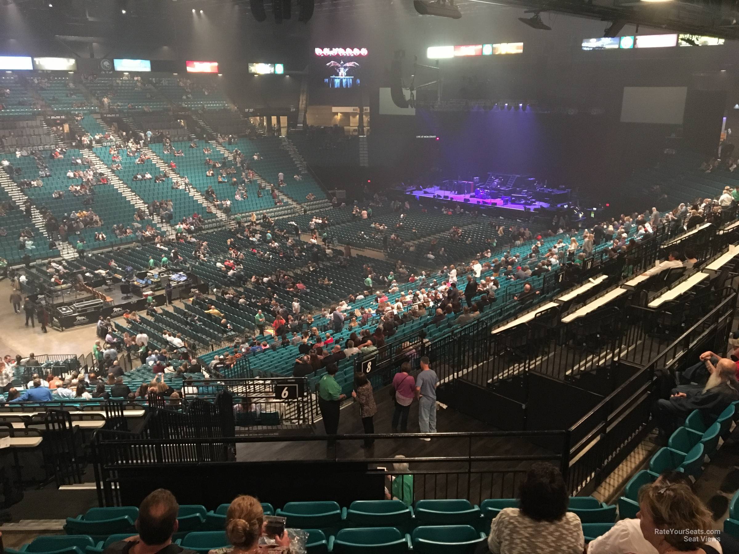 section 206, row f seat view  - mgm grand garden arena