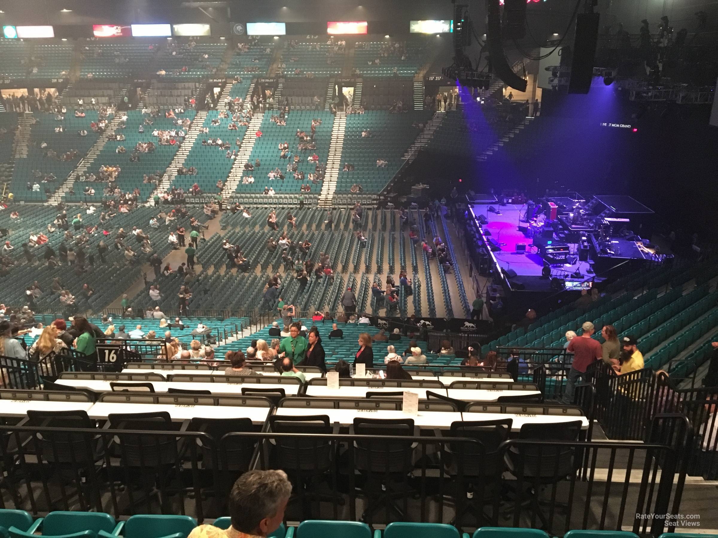section 216, row f seat view  - mgm grand garden arena