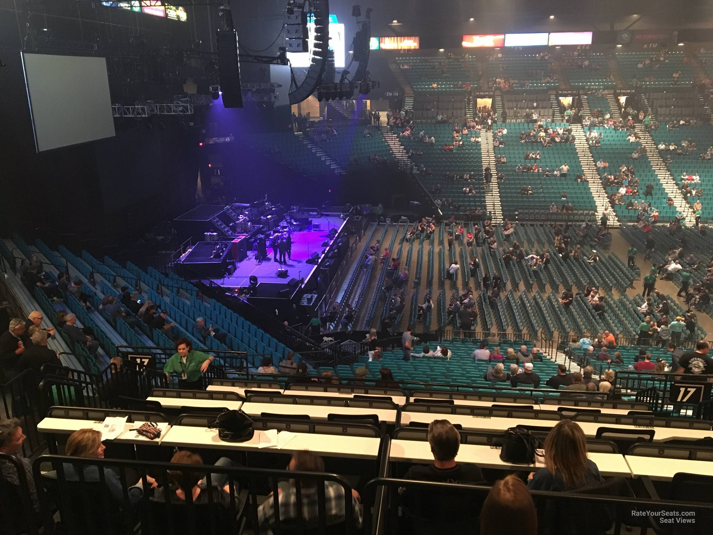 Mgm Grand Garden Arena Section 217 Rateyourseats Com