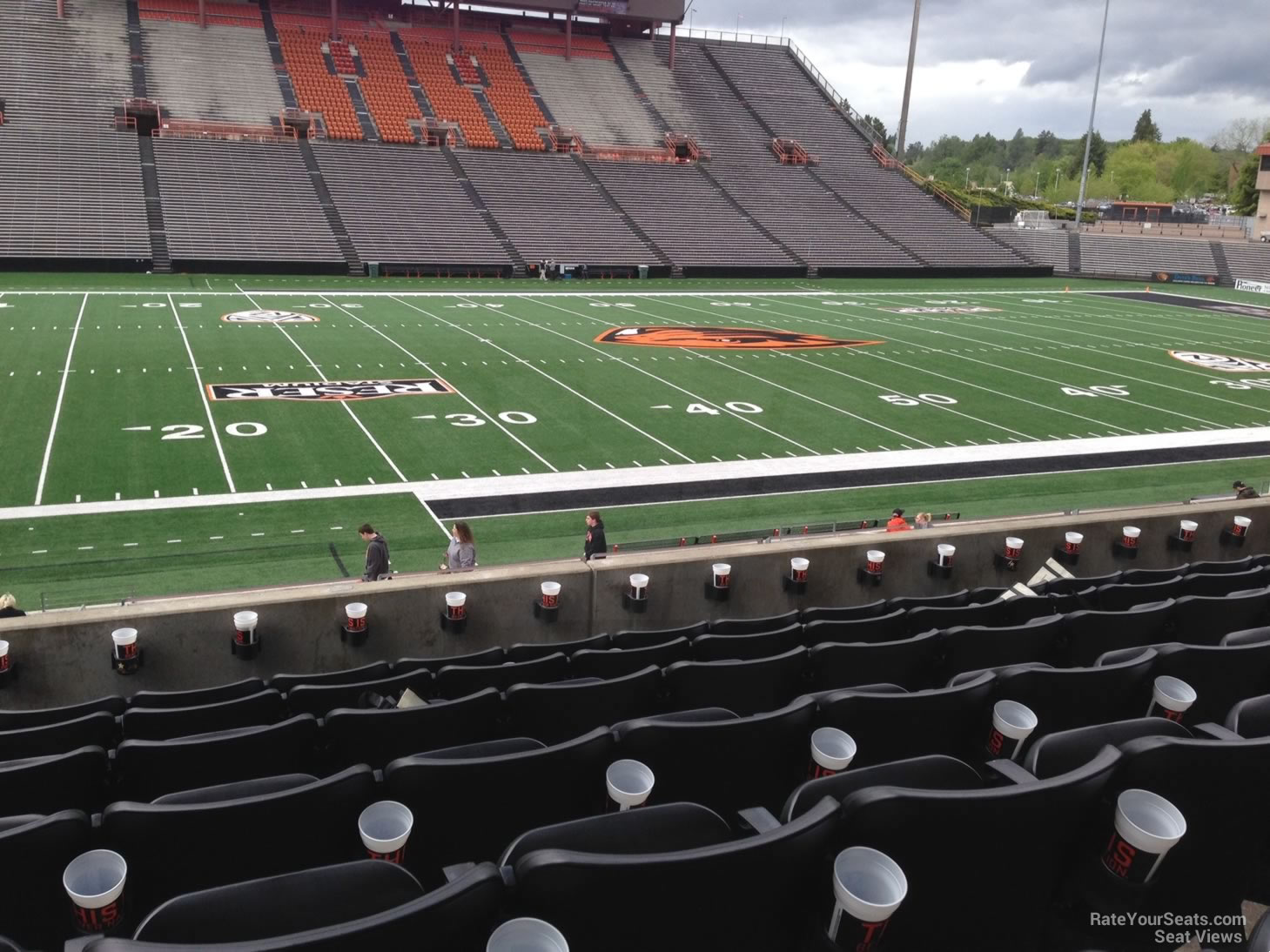 section 118, row 21 seat view  - reser stadium