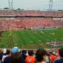 thumbnail of Section 538