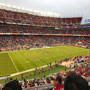 thumbnail of Section 244