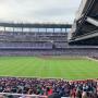 thumbnail of Section 146