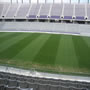 thumbnail of Section 206