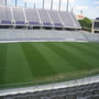 thumbnail of Section 209