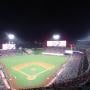 thumbnail of Section 521