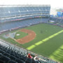 thumbnail of Section 533