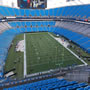 thumbnail of Section 503