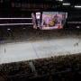 thumbnail of Section 207