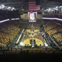 thumbnail of Section 202