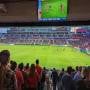 thumbnail of Section 108