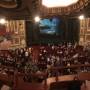 thumbnail of DRESS CIRCLE LEFT CENTER