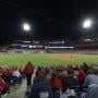 thumbnail of Section 135