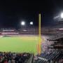 thumbnail of Section 241