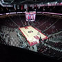 thumbnail of Section 217