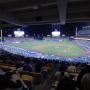 thumbnail of Section 113