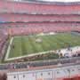 thumbnail of Section 305