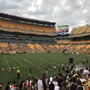 thumbnail of Section 110