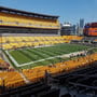 thumbnail of Section 229