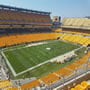 thumbnail of Section 505