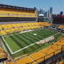 thumbnail of Section 529