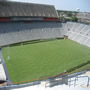 thumbnail of Section 100