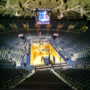 thumbnail of Section 115