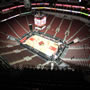 thumbnail of Section 305