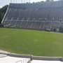 thumbnail of Section 109