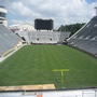 thumbnail of Section 204