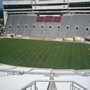 thumbnail of Section 229