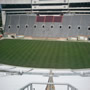 thumbnail of Section 230