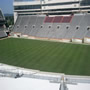 thumbnail of Section 128